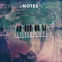 Synths & Notes, Vol 2