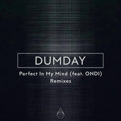Perfect In My Mind (Remixes)