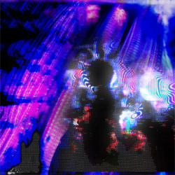 Budokan Acid
