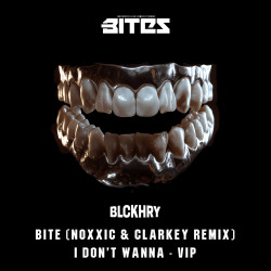 I Don't Wanna / Bite VIP