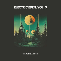 Electric Eden, Vol 3