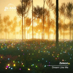 Dream Like Me 