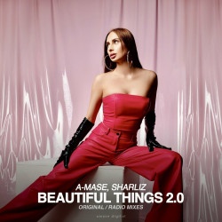 Beautiful Things 2.0 