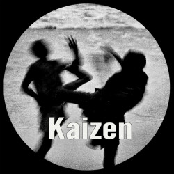 Kaizen