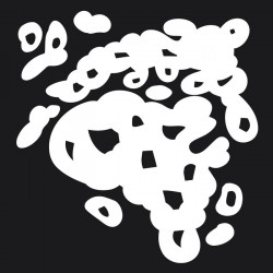 States of Art II