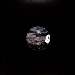 5 Years Mont Lake Records VA.Part 2