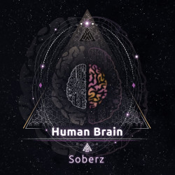 Human Brain