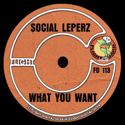 What You Want 