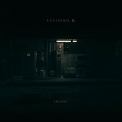 Nocturnal 夜