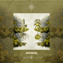 Sugar & Spice