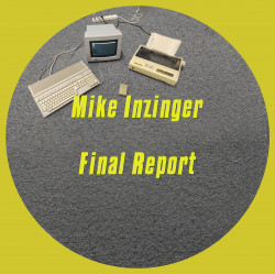 Final Report