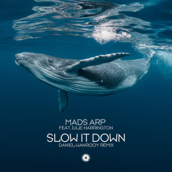 Slow It Down [Daniel Wanrooy Remix]