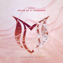 Value Of A Teardrop
