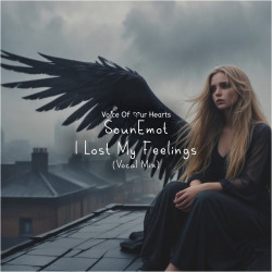 I Lost My Feelings [Vocal Mix]