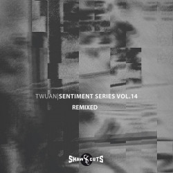 Sentiment Series Vol.14 – Remixed (Remixed)