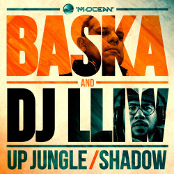 Up Jungle / Shadow