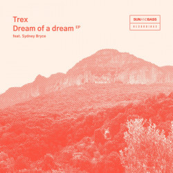 Dream Of A Dream