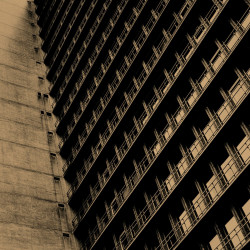 Paradigm 
