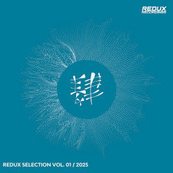 Redux Selection, Vol. 1 / 2025