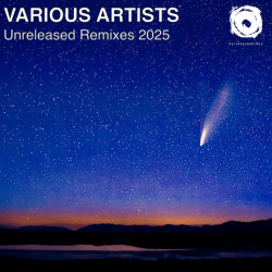 Unreleased Remixes 2025