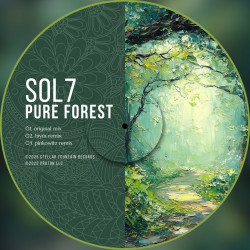 Pure Forest 