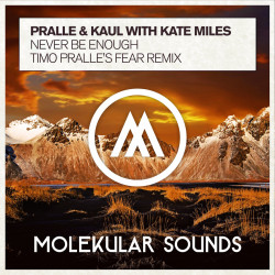 Never Be Enough [Timo Pralle's Fear Remix]