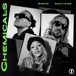 CHEMICALS