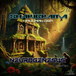 Hanuman Goa (Neurogenesys Remix)