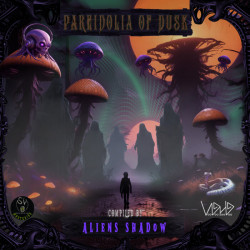 Pareidolia Of Dusk