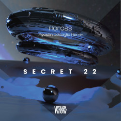 Secret 22 (Agustin Delsoglio Remix)