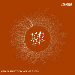 Redux Selection, Vol. 3 / 2025
