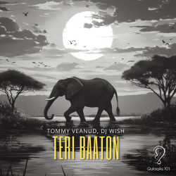 Teri Baaton 