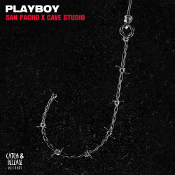 Playboy 