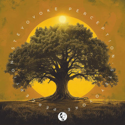Steyoyoke Perception, Vol. 11