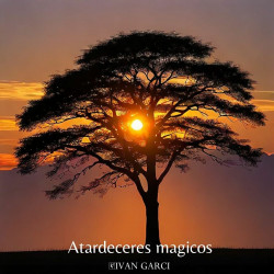 Atardeceres Magicos