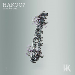HAK007