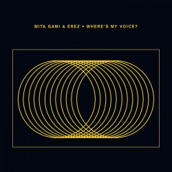 Where’s My Voice?