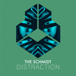 Distraction