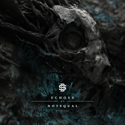 Echoes