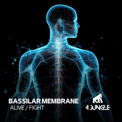 Alive / Fight