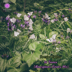 In Trance (Atmospheric Breaks Mix)