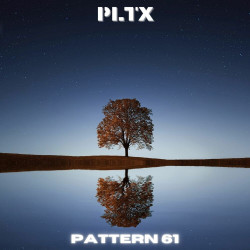Pattern 61