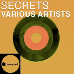 Hexagonal Secrets VA