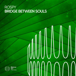 Bridge Between Souls