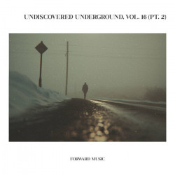 Undiscovered Underground, Vol. 16 (Part 2)