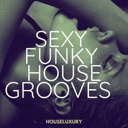 Sexy Funky House Grooves - Houseluxury