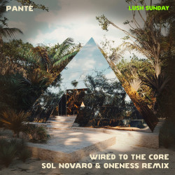 Wired To The Core (Sol Novaro & Oneness Remix)