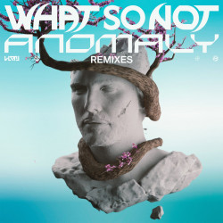 Anomaly (Remixes)