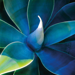  Azur