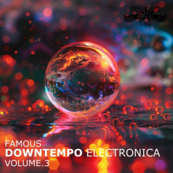 Famous Downtempo Electronica, Vol 3